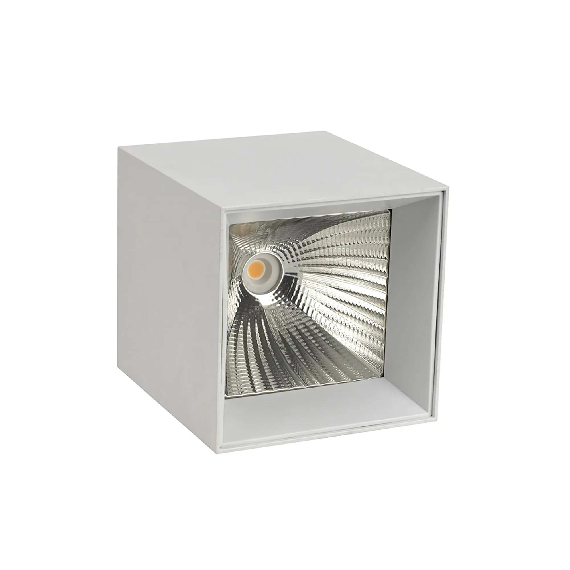 Eox 30 Indoor Surface Mounted Luminaires Dlux Unidirectional Surface Mount